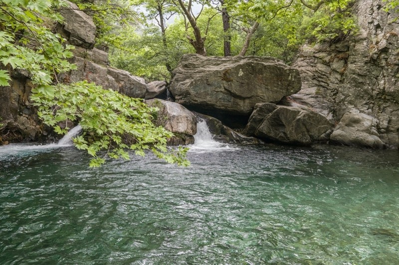 Kaz Dağları'nda ormanlar, dereler ve doğal yaşam