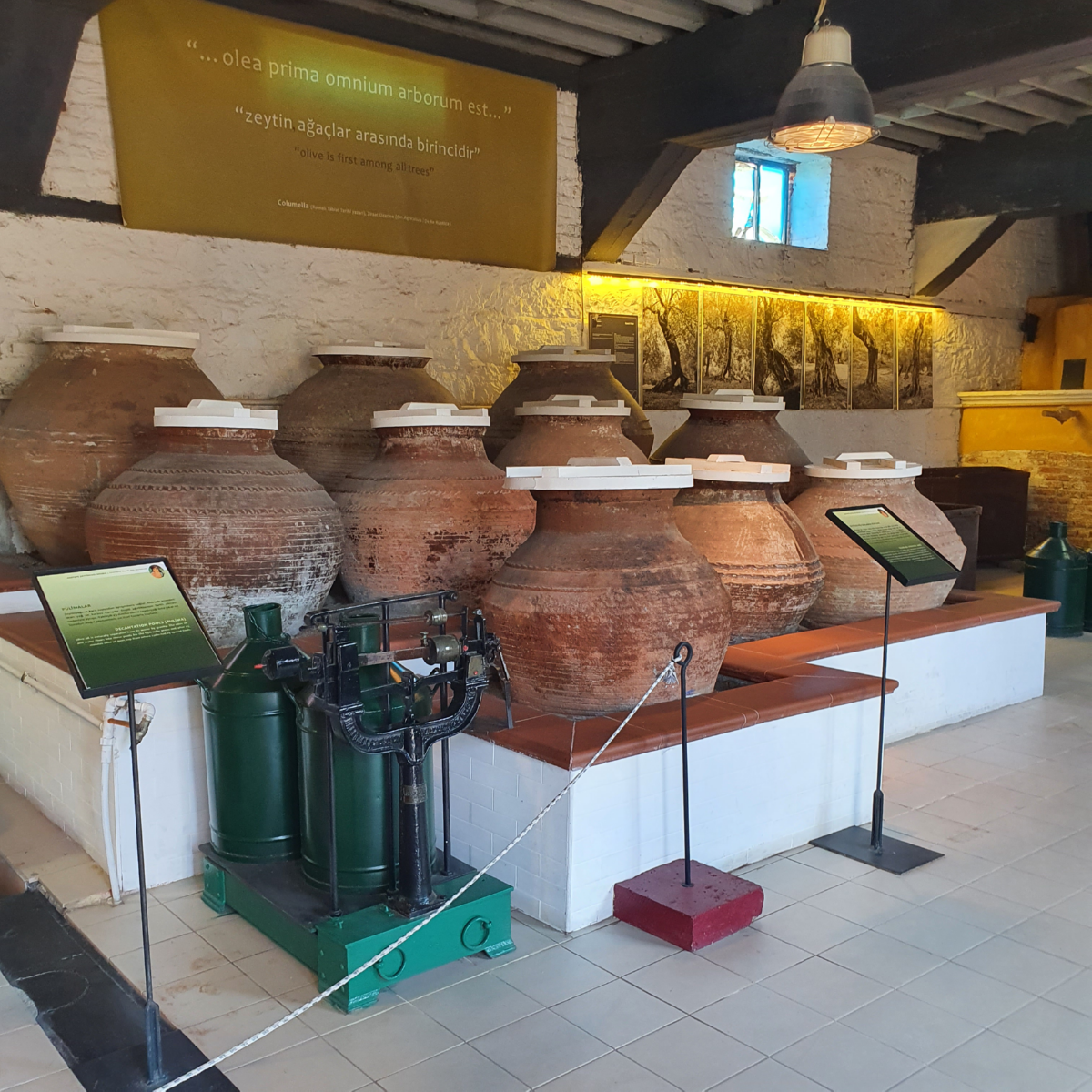 Zeytinyağı Müzesi (Küçükkuyu)