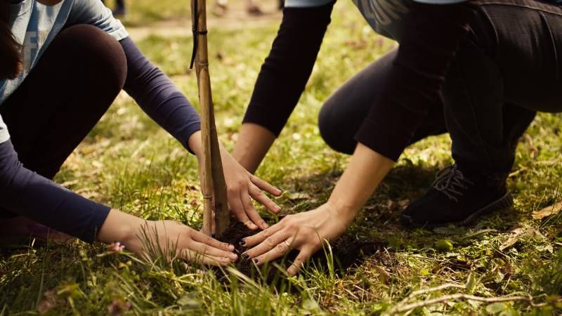 Kooperatif Kurmak İçin Gerekenler: Turizm Geliştirme Kooperatifi Süreci ve Maliyetler