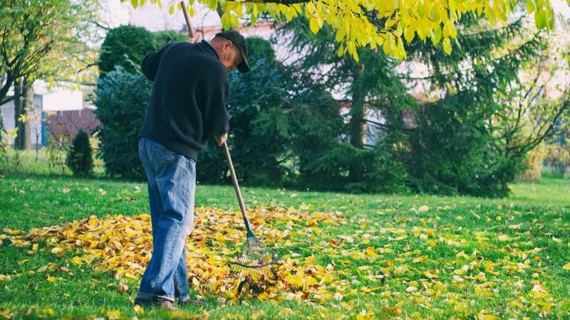 Ekoturizm Tesis Yönetimi: Profesyonel Yönetim Neden Kritik?