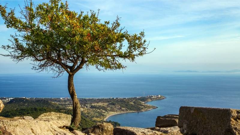 Assos Turizmi: Tarih, Doğa ve Ege’nin Huzurlu Atmosferi Bir Arada